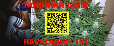 амф Заволжье
