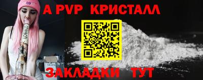 шишки Кингисепп
