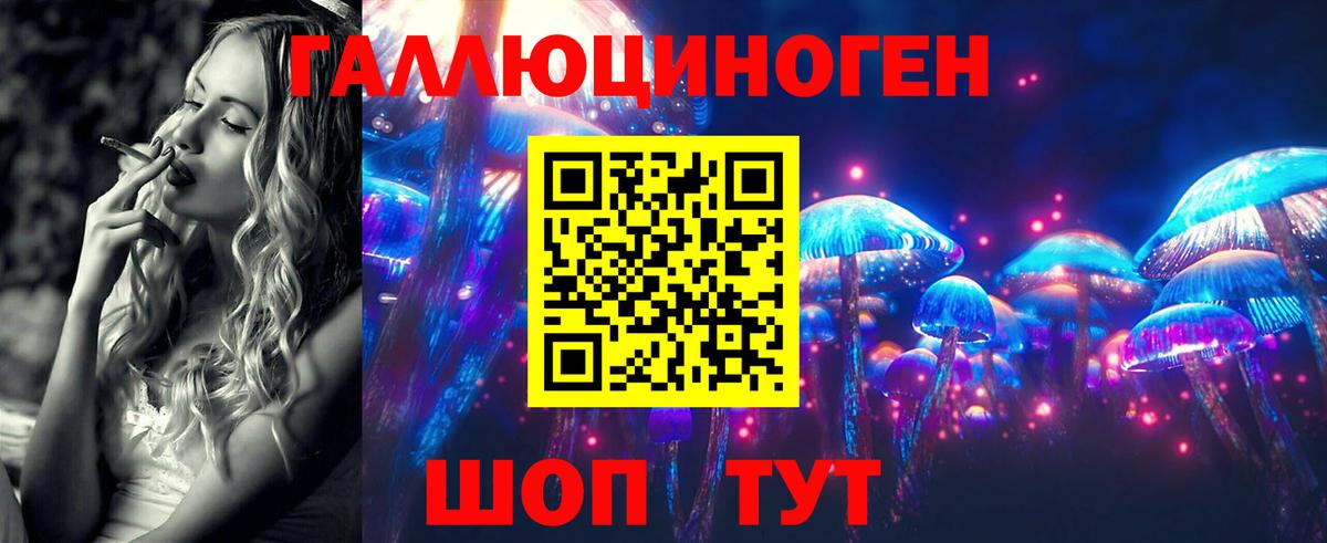 Псилоцибиновые грибы MAGIC MUSHROOMS  Галлюциногенные грибы Psilocybine cubensis  Красногорск  Вход с VPN 